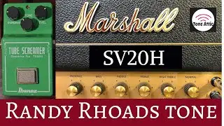 Can a Marshall SV20H 
