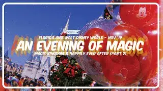 An Evening of Magic (Day 8, pt 2) | Walt Disney World November 2019 | The Life and Times of Tom