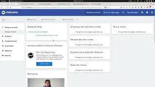 An introduction to the Facebook widget plugin for Matomo
