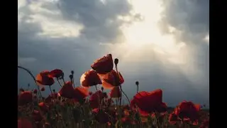 Коли закінчиться війна.