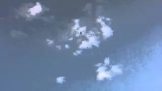 Trex 500 FBL first looping.wmv