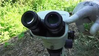Olympus sz61-Легенда