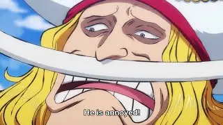 Oden and Whitebeard is Annoyed at Toki,Toki wants to go to Wano