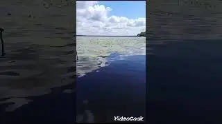 Белорусское озеро Селява.