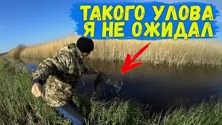Ловля рыбы на вершу / Рыбалка на вершу / Как поймать много рыбы без удочки