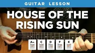 🎸 