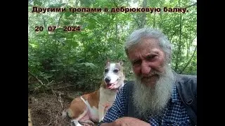 ПО НОВЫМ ТРОПАМ В ДЕБРЮКОВУЮ БАЛКУ