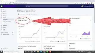 Ecco quanto ho guadagnato investendo 50$ in DROPSHIPPING