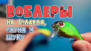 Распаковка воблеров на голавля с AliExpress. Копии на Jackall Chubby 38F
