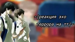 ~|реакция эхо террора на тт|~~|1/2|~