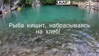 Рыба кишит в верхнем озере каньона Goynuk. Турция. Анталийское побережье.