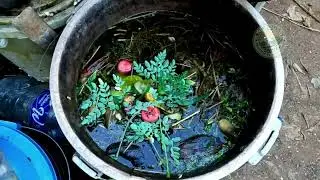 Ano at Paano Gumawa ng Swamp Fertilizer