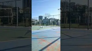люблю це життя