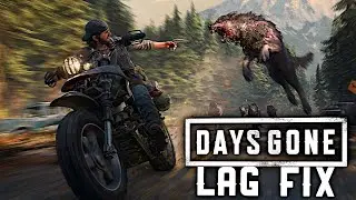 DAYS GONE | LAG FIX