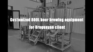 Customized 800L beer brewing equipment in Uruguay