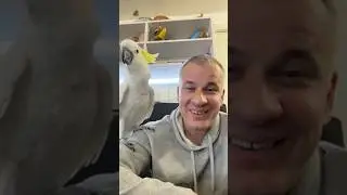 Говорящий попугай) 