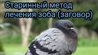 Старинный способ лечения зоба (заговор).