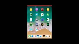 How to Use  the Spark Video App