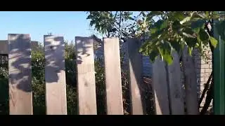 Я такого ещё не видел. 3