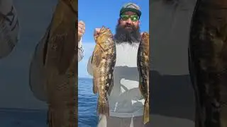 78 Calico Bass Lots of PB's oliver@bigbassdreams.com