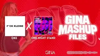 OKE x ONE NIGHT STAND - GINA MASHUP FILES