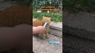 #вологда #череповец
