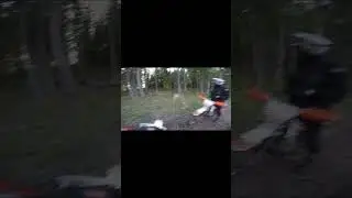 Загорелся лес😱