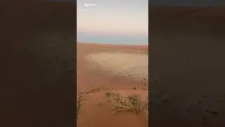 طيران شاص وطاح على وجهه