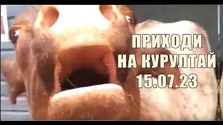 Анонс курултая и ответы на вопросы -Стрим Звонова (10.07.2023)