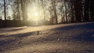 Первые шаги весны