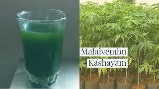 மலைவேம்பு பயன்கள் | கர்ப்பப்பை நீர்கட்டி சார்ந்த பிரச்சனைகள் | PCOD NATURAL HOME REMEDY