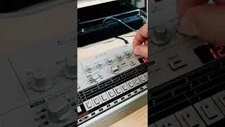 Roland TR-06 #acidtechno