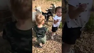 Dougie at the farm ! He caught some kind of vibe lol 🤷🏻‍♂️😆🕺🏻 #babyboy #family #love #farm #animals