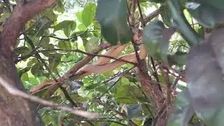 Pense numa visita interessante