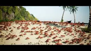 Dancing Crab Meme