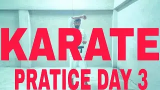 KARATE WHITE BELT PRACTICE DAY 3