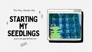 Beginner Gardening - Starting my Seedlings indoors - Preparing for the spring growing season