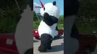 Танцующая панда