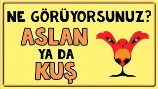 Resimlerde Gördüğün İlk Şey Karakterini Ortaya Koyuyor