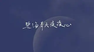 第19屆舊愛新歡｜音樂MV ｜浩聲樂隊《月下孤影》 ｜MV優選獎