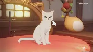 Gatos - Genshin Impact