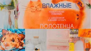 ПОКУПКИ ФИКС ПРАЙС И ГАЛАМАРТ / март 2021