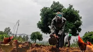 #villagelife 🌿||  planting season is finally here 🪴