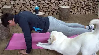헬스장 못가서 홈트만 했더니.. 강아지가 보인 놀라운 반응