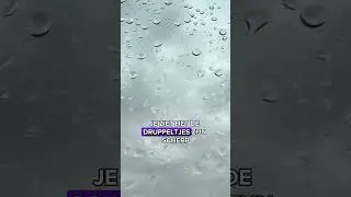 Regenachtige dag?! 