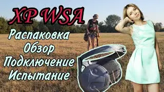 Коп 2021. Поиск монет с обновочкой! Наушники для металлоискателя Xp Orx