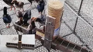 How to make Chicken feed tank with Plastic Wooden boards​ |TV Play Ideas
