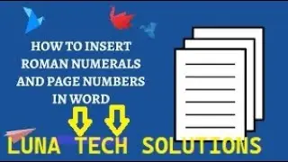 How to insert page numbers with Roman and numerals number