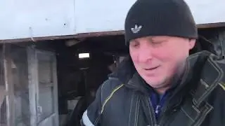 Голуби. Александр Мордвинов +79277650744. Самара.