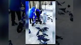 Дети кормят голубей